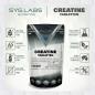 Preview: Creatine Tabletten 1000mg - 400 Tabletten