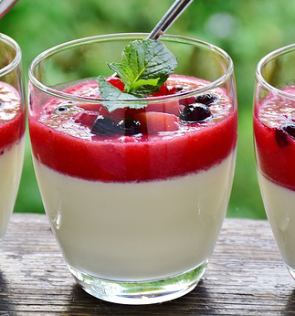 Protein Panna cotta