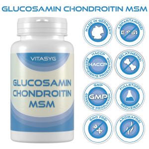 Glucosamin Chondroitin MSM Tabletten